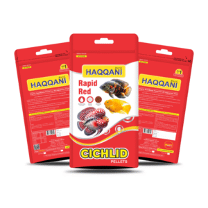 Haqqani Cichlid Fish Food 100gm (Buy 1 Get 1) - 200 Gm