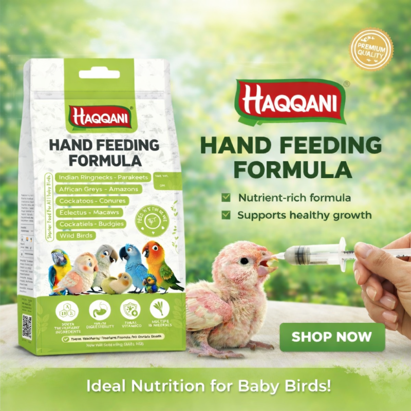 file_000000004ae072068311c596906084b0