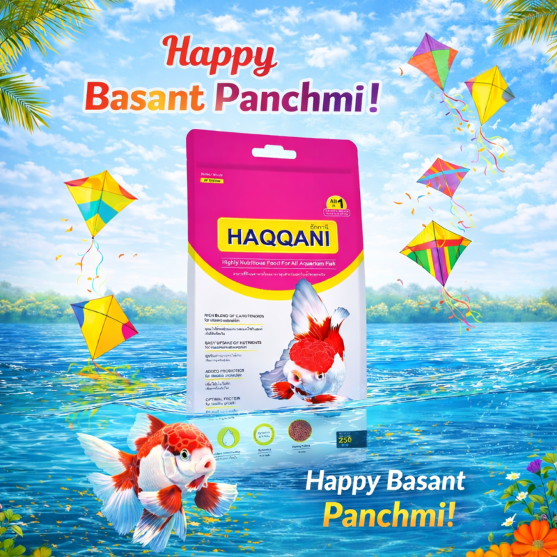 file_00000000f8a072088dd3b6732fe0005a (1)